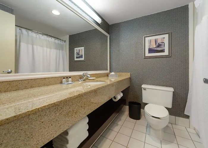 Amenity Rich Spacious King Apartment Bloomington